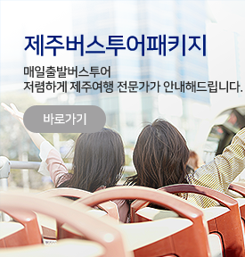 버스투어패키지