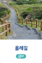 올레길