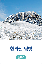 한라산 탐방